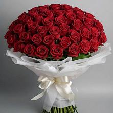 Букет 101 Красная роза Блэк Мэджик в Гаврилом-Яме