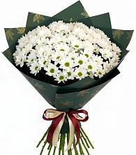 Букет цветов из:  Хризантемы в Гаврилом-Яме