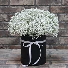 Цветочная композиция из Гипсофила в шляпной коробке в Гаврилом-Яме